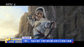 国内精品久久久久影院免费